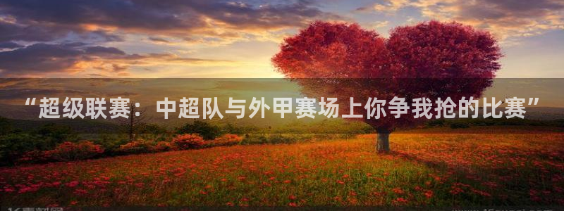 “超级联赛：中超队与外甲赛场上你争我抢的比赛”