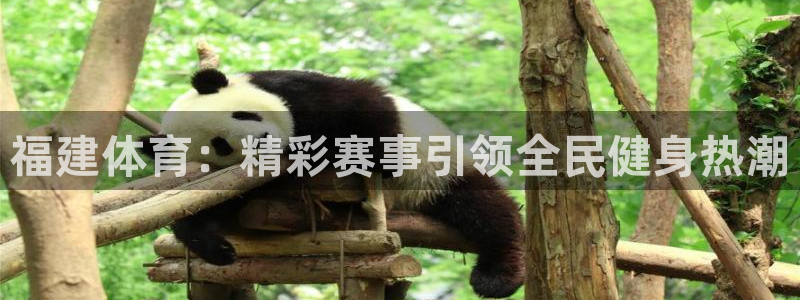 福建体育：精彩赛事引领全民健身热潮