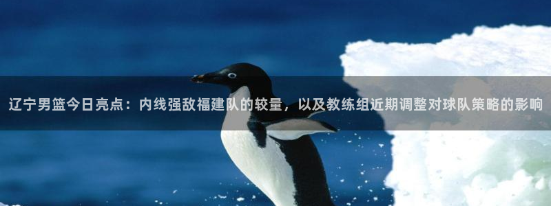 辽宁男篮今日亮点：内线强敌福建队的较量，以及教练组近期调整对球队策略的影响