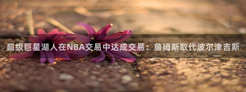 超级巨星湖人在NBA交易中达成交易：詹姆斯取代波尔津吉斯
