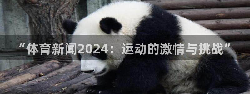 “体育新闻2024：运动的激情与挑战”