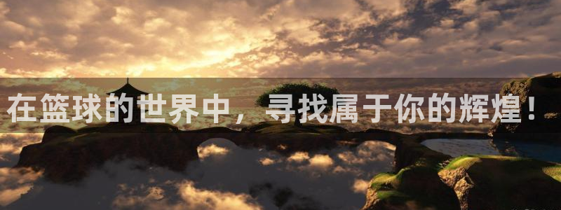 在篮球的世界中，寻找属于你的辉煌！