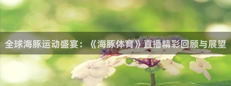 全球海豚运动盛宴：《海豚体育》直播精彩回顾与展望