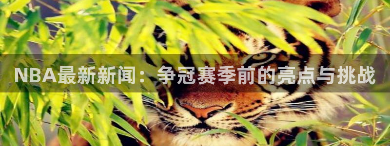 NBA最新新闻：争冠赛季前的亮点与挑战