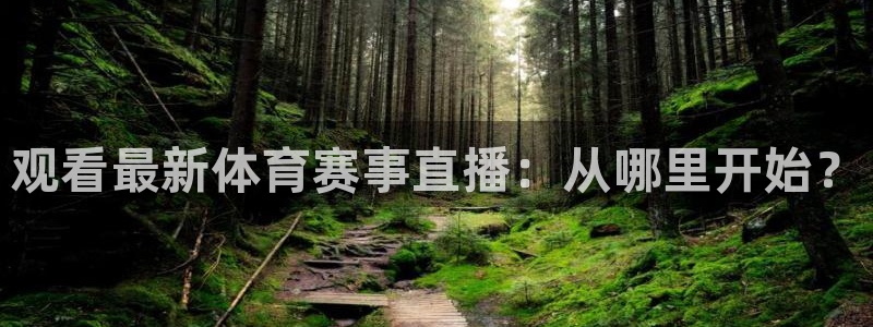 观看最新体育赛事直播：从哪里开始？