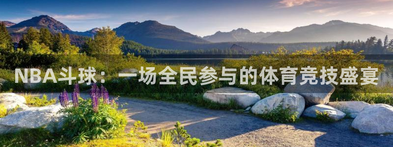 NBA斗球：一场全民参与的体育竞技盛宴