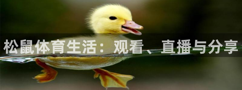 松鼠体育生活：观看、直播与分享