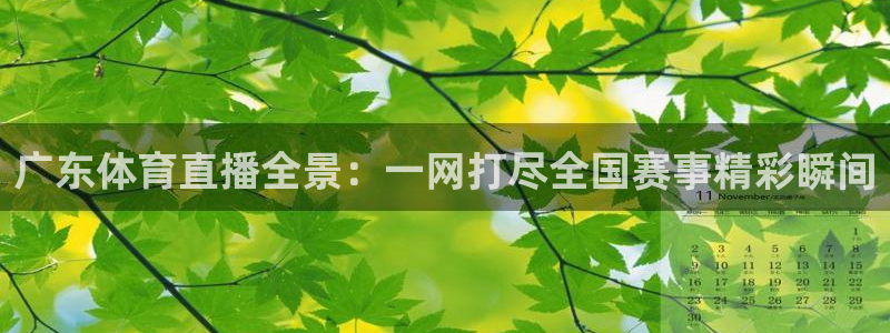 广东体育直播全景：一网打尽全国赛事精彩瞬间