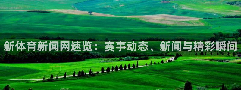 新体育新闻网速览：赛事动态、新闻与精彩瞬间