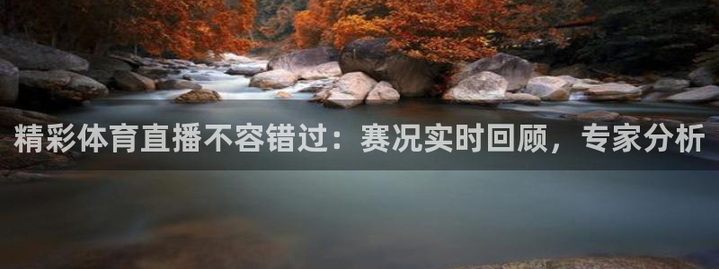 精彩体育直播不容错过：赛况实时回顾，专家分析
