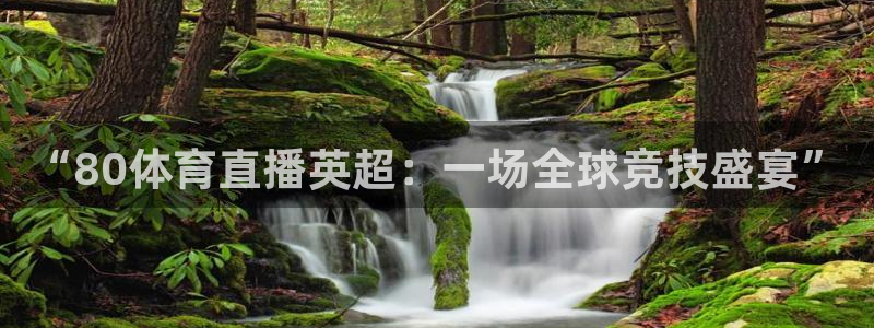 “80体育直播英超：一场全球竞技盛宴”