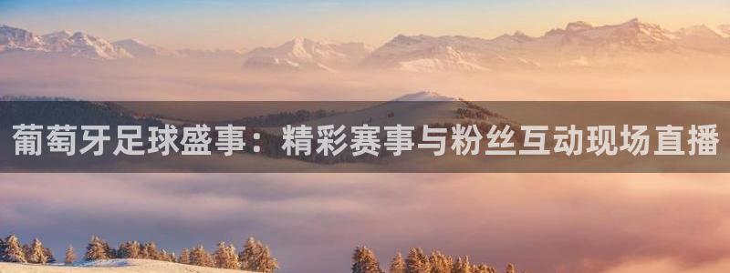 葡萄牙足球盛事：精彩赛事与粉丝互动现场直播