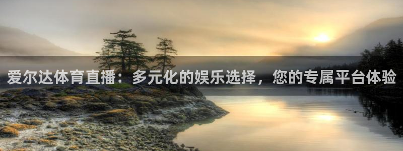 爱尔达体育直播：多元化的娱乐选择，您的专属平台体验