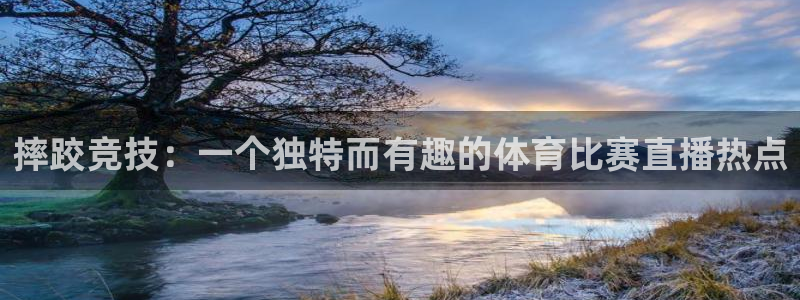摔跤竞技：一个独特而有趣的体育比赛直播热点