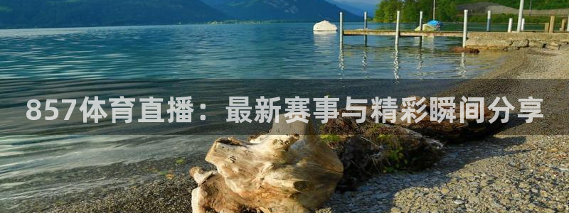 857体育直播：最新赛事与精彩瞬间分享