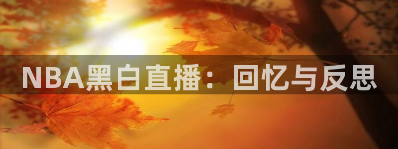 NBA黑白直播：回忆与反思
