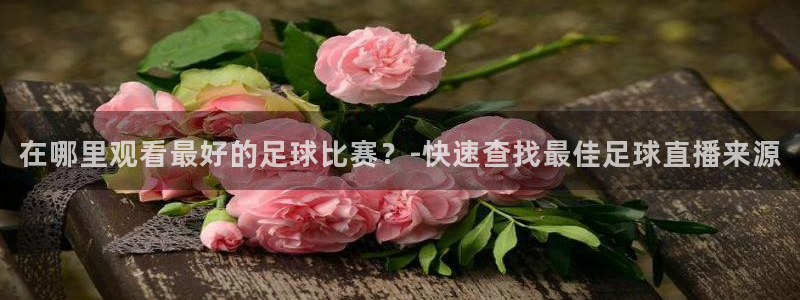 在哪里观看最好的足球比赛？-快速查找最佳足球直播来源