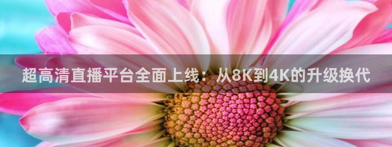 超高清直播平台全面上线：从8K到4K的升级换代
