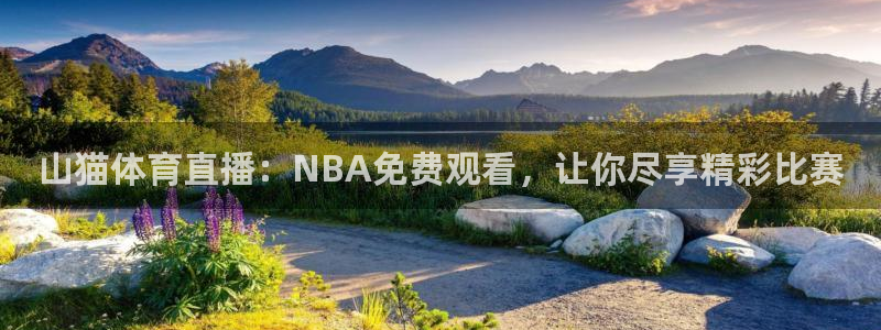 山猫体育直播：NBA免费观看，让你尽享精彩比赛