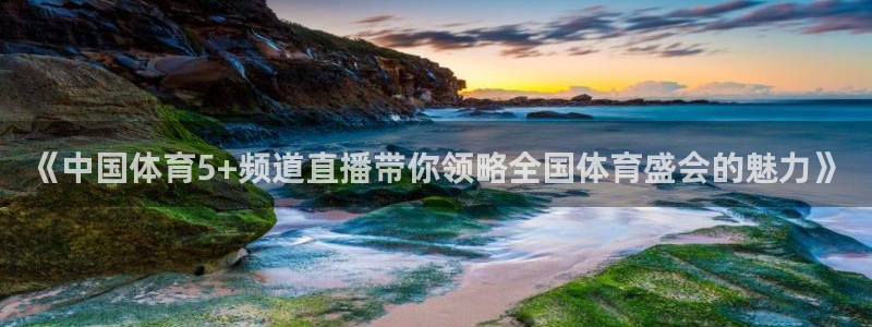 《中国体育5+频道直播带你领略全国体育盛会的魅力》