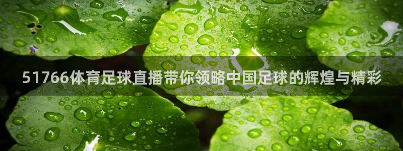 51766体育足球直播带你领略中国足球的辉煌与精彩