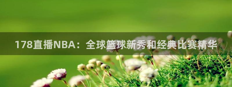 178直播NBA：全球篮球新秀和经典比赛精华