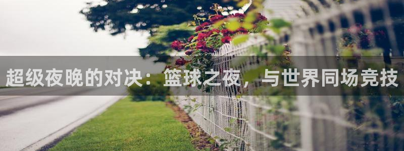 超级夜晚的对决：篮球之夜，与世界同场竞技