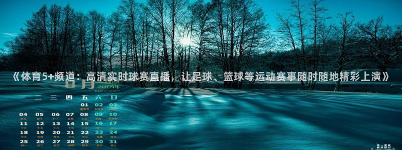 《体育5+频道：高清实时球赛直播，让足球、篮球等运动赛事随时随地精彩上演》