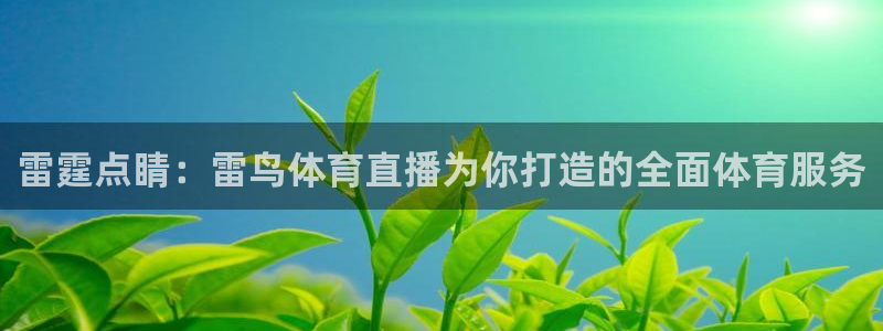 雷霆点睛：雷鸟体育直播为你打造的全面体育服务