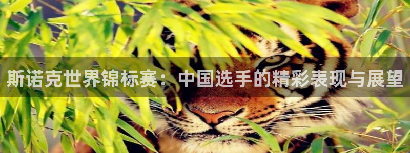 斯诺克世界锦标赛：中国选手的精彩表现与展望