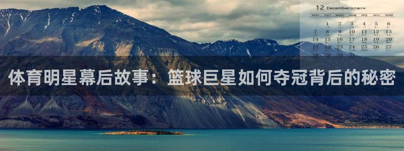 体育明星幕后故事：篮球巨星如何夺冠背后的秘密