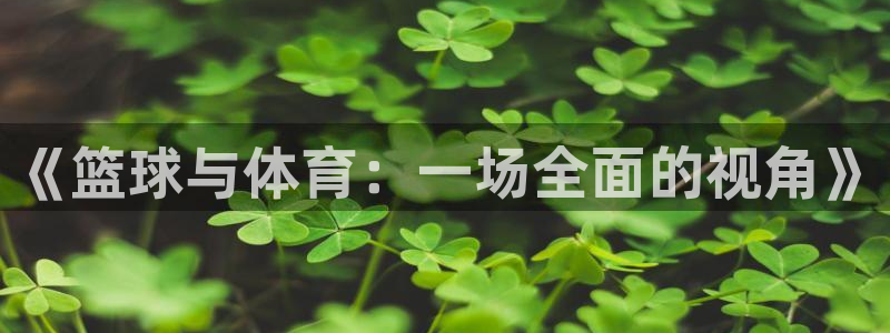 《篮球与体育：一场全面的视角》