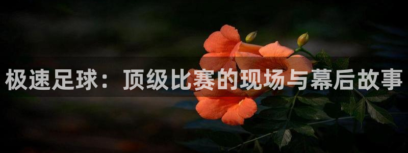 极速足球：顶级比赛的现场与幕后故事