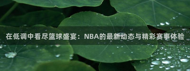在低调中看尽篮球盛宴：NBA的最新动态与精彩赛事体验