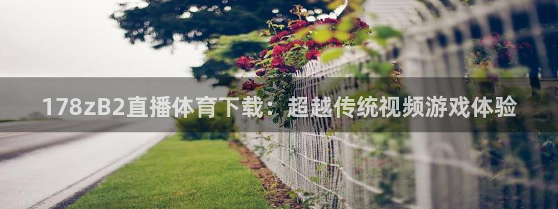 178zB2直播体育下载：超越传统视频游戏体验