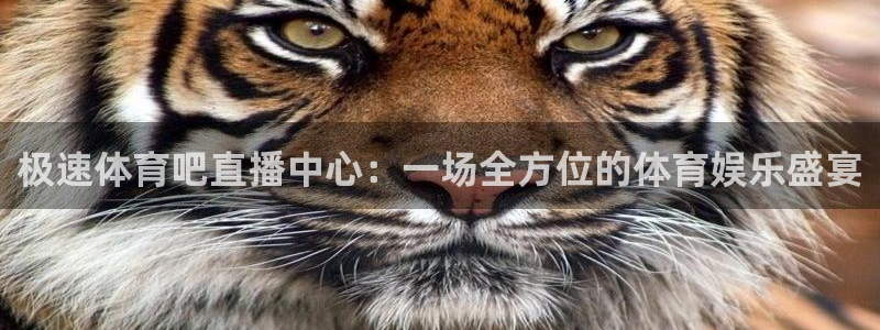 极速体育吧直播中心：一场全方位的体育娱乐盛宴