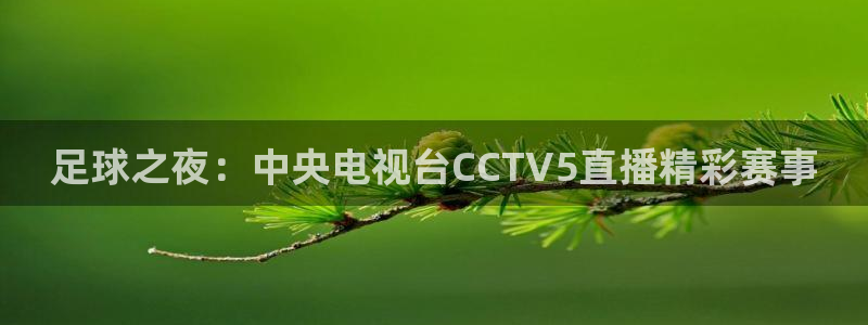 足球之夜：中央电视台CCTV5直播精彩赛事