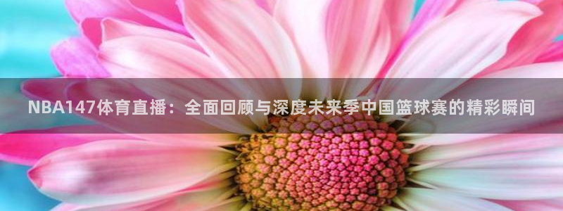 NBA147体育直播：全面回顾与深度未来季中国篮球赛的精彩瞬间