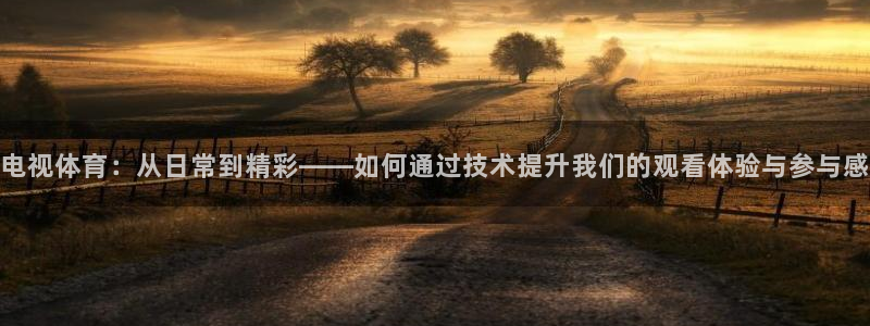 电视体育：从日常到精彩——如何通过技术提升我们的观看体验与参与感