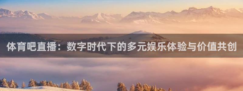 体育吧直播：数字时代下的多元娱乐体验与价值共创