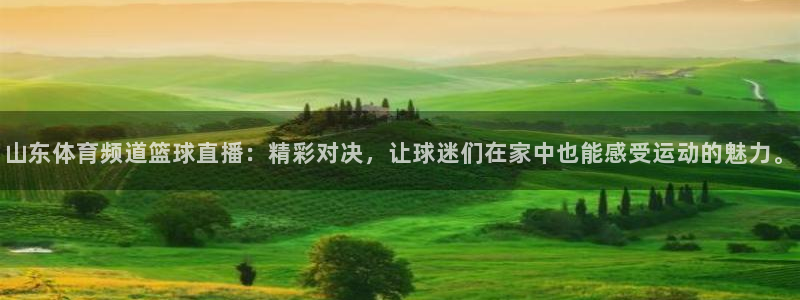 山东体育频道篮球直播：精彩对决，让球迷们在家中也能感受运动的魅力。