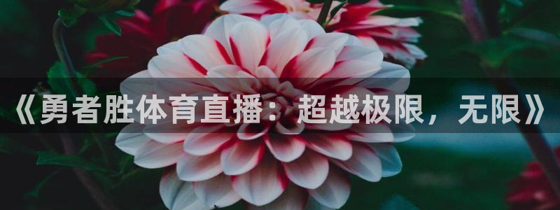 《勇者胜体育直播：超越极限，无限》